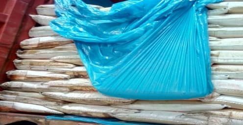 Rice bags in container prepared for cargo inspection